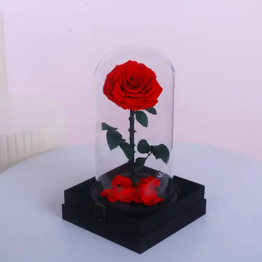 Single Red Forever Rose in Glass Dome